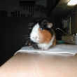 asi moje posledn� fotka