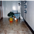 Mlsn�, ale �ikovn�
