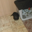 ...a potom si oddchnout