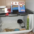 Duben 2003